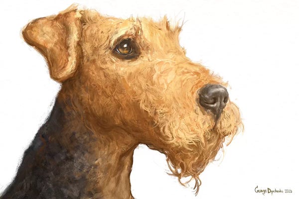 Airedale Terriers: Airedale White Background by George Dyachenko