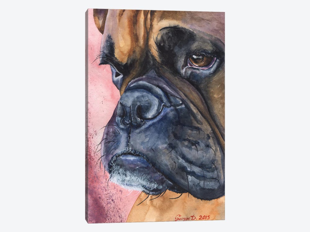 Boxer Portrait by George Dyachenko 1-piece Canvas Print