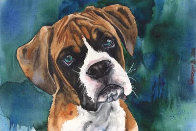 Boxer Puppy by George Dyachenko acrylic art print