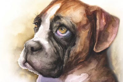 Boxer Puppy Light Background by George Dyachenko acrylic art print
