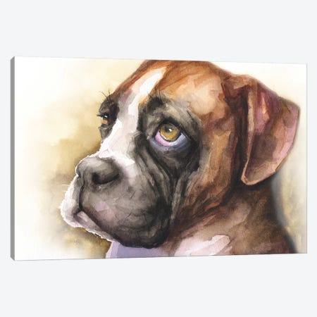 Boxer Puppy Light Background Canvas Print #GDY243} by George Dyachenko Canvas Artwork