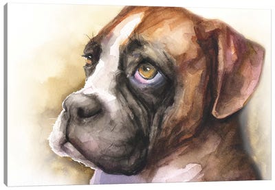 Boxer Puppy Light Background Canvas Art Print - George Dyachenko