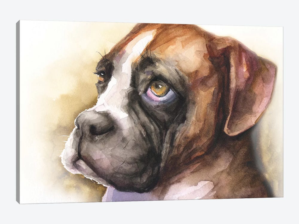 Boxer Puppy Light Background by George Dyachenko 1-piece Canvas Art