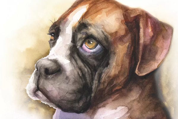 Boxers: Boxer Puppy Light Background by George Dyachenko