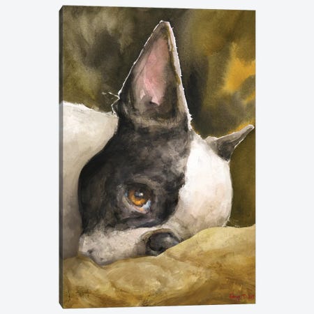 Boston Terrier With Background Canvas Print #GDY245} by George Dyachenko Canvas Art Print