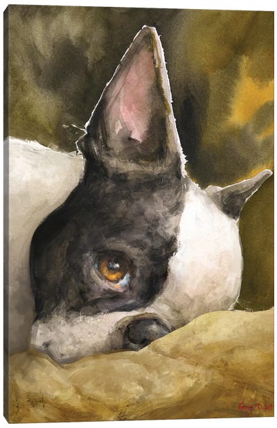 Boston Terrier With Background Canvas Art Print - George Dyachenko