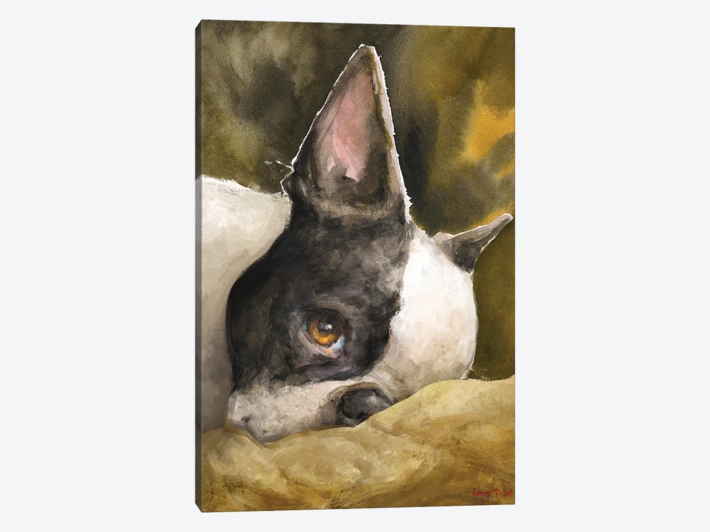 Boston Terrier With Background by George Dyachenko 1-piece Canvas Artwork