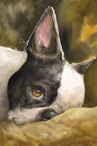 Terriers: Boston Terrier With Background by George Dyachenko