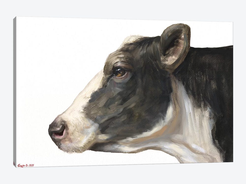 Cow White Background by George Dyachenko 1-piece Canvas Print