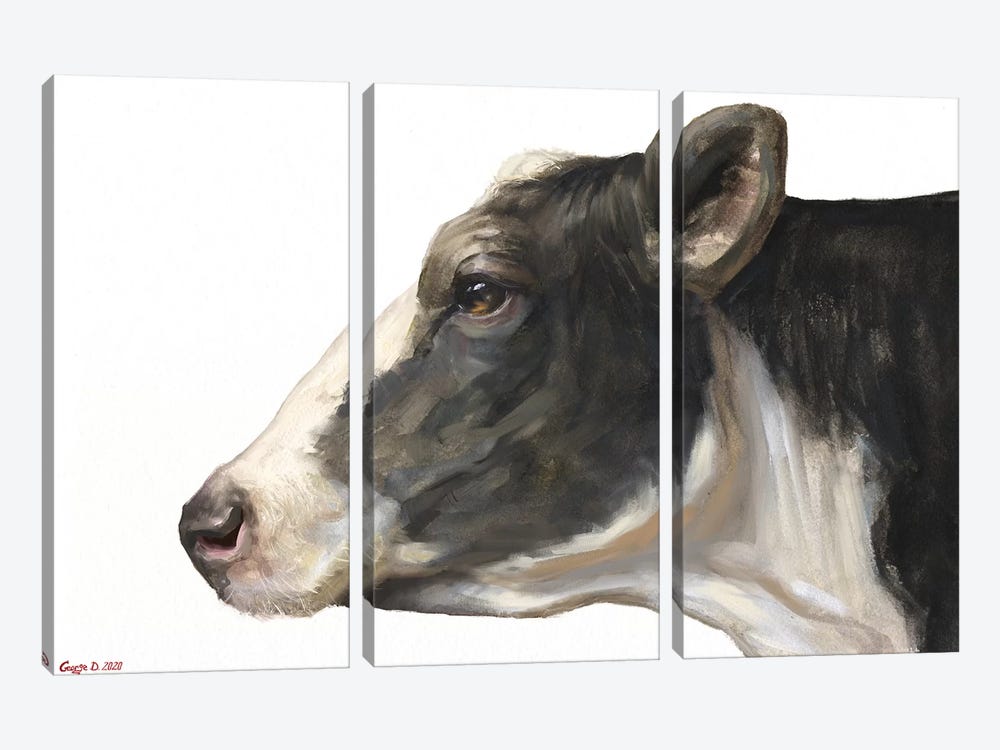 Cow White Background by George Dyachenko 3-piece Canvas Art Print