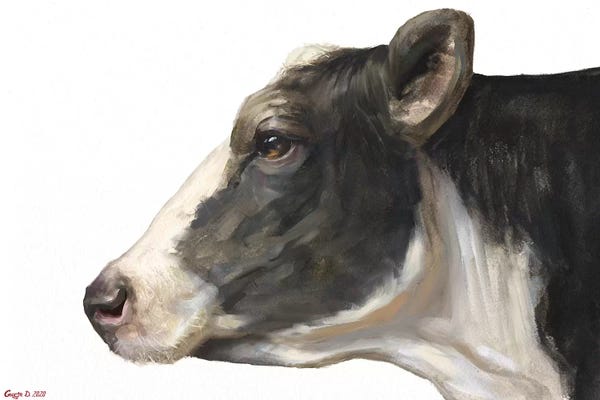 Cow White Background