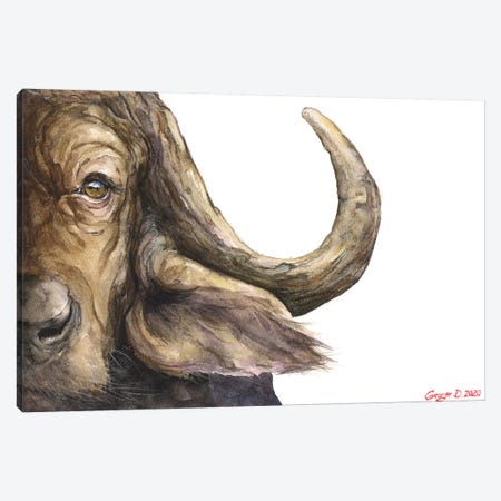 Cape Buffalo Canvas Print #GDY247} by George Dyachenko Canvas Art Print