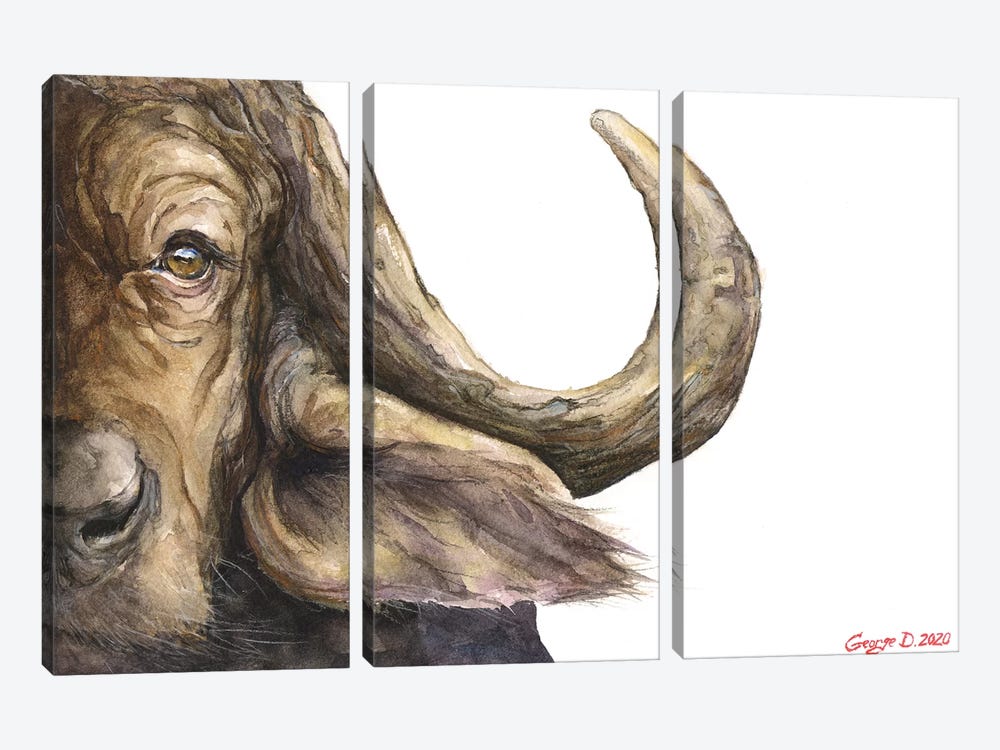 Cape Buffalo by George Dyachenko 3-piece Canvas Artwork