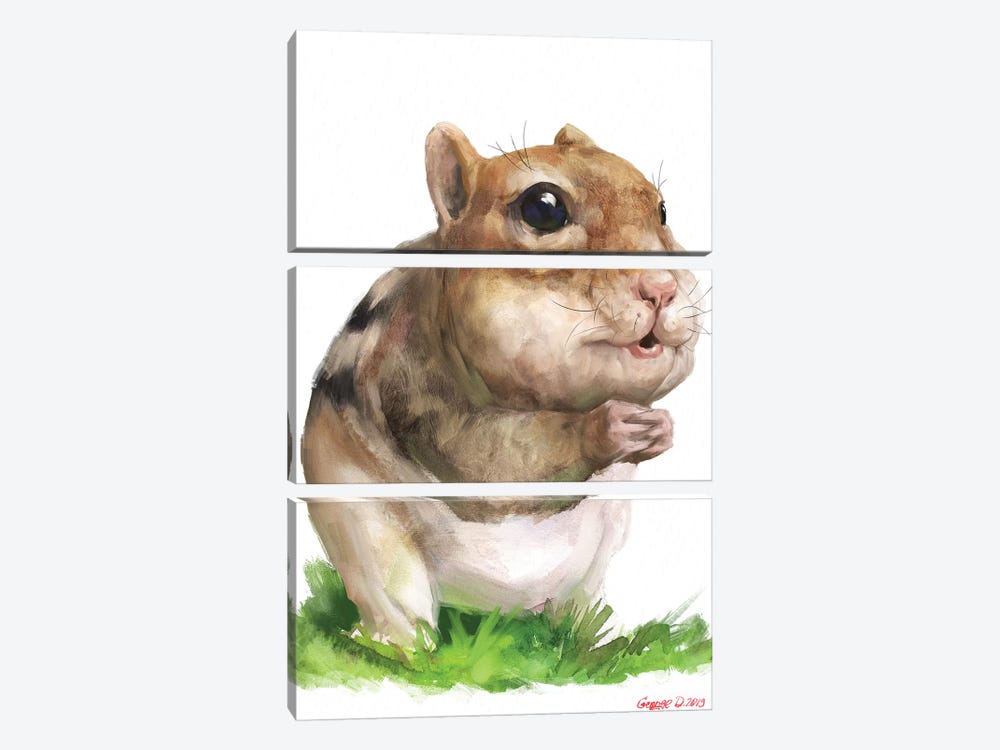 Chipmunk by George Dyachenko 3-piece Canvas Print