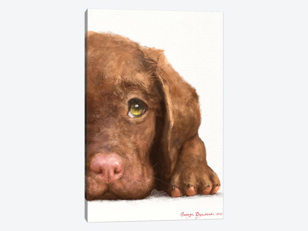 Chocolate Labrador Puppy by George Dyachenko 1-piece Canvas Artwork