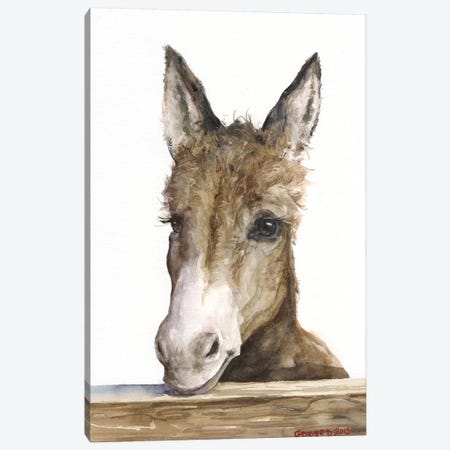 Cute Donkey Canvas Print #GDY252} by George Dyachenko Art Print
