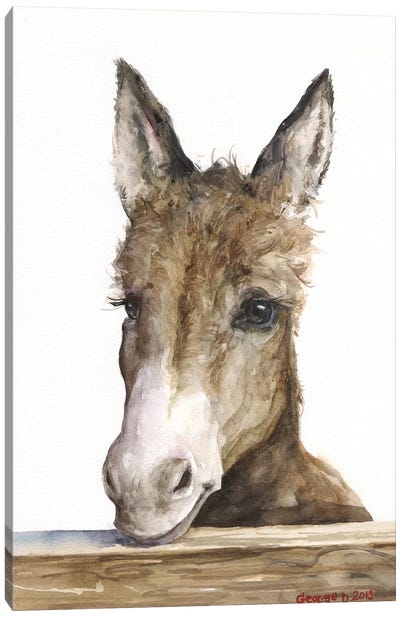 Cute Donkey Canvas Art Print - Donkey Art