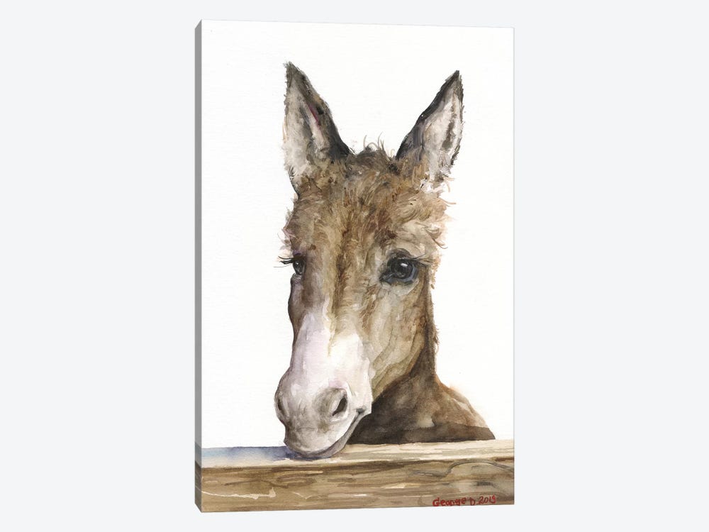 Cute Donkey by George Dyachenko 1-piece Canvas Artwork