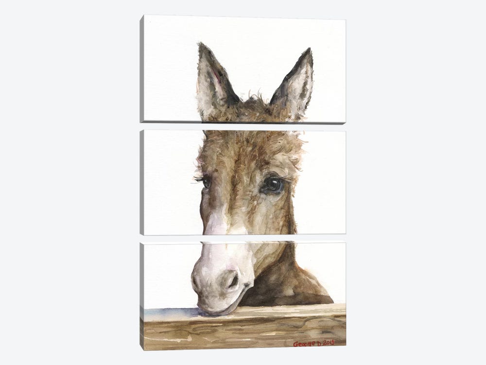 Cute Donkey by George Dyachenko 3-piece Canvas Art