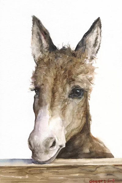 Donkeys: Cute Donkey by George Dyachenko