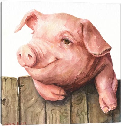Little Piggy White Background Canvas Art Print - George Dyachenko