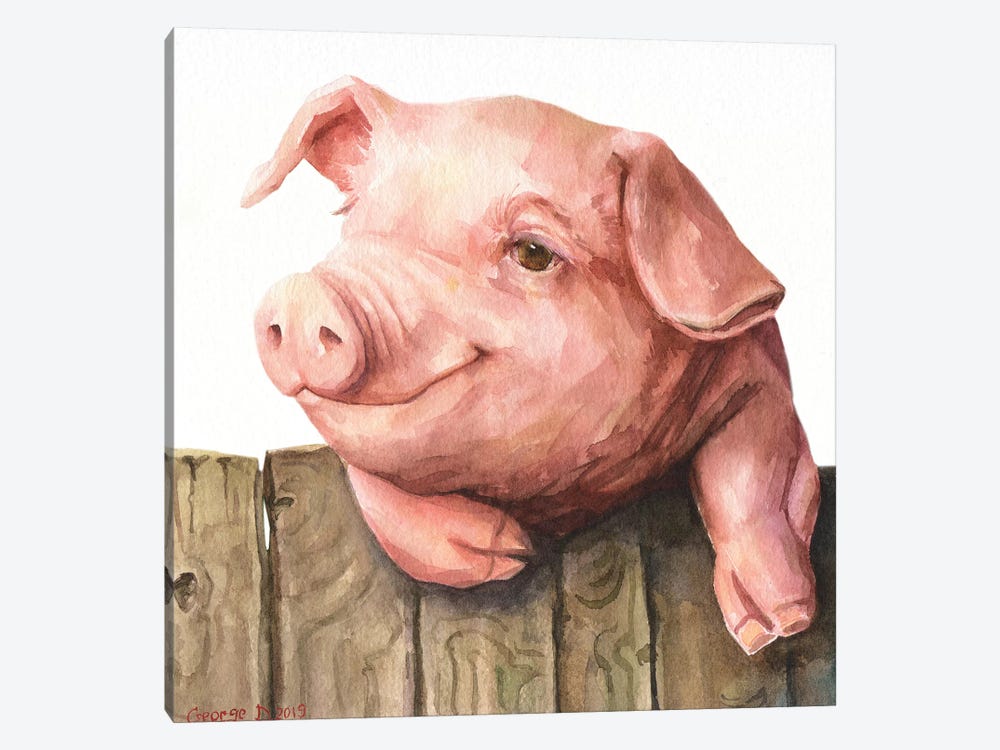 Little Piggy White Background by George Dyachenko 1-piece Art Print