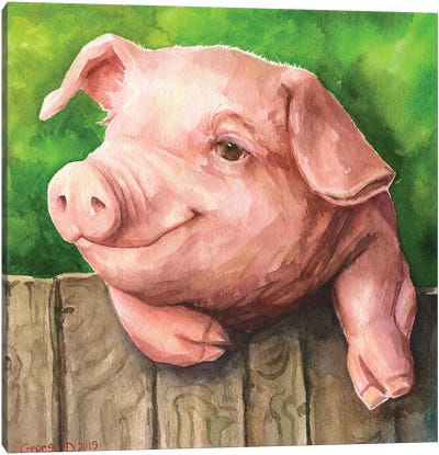 Little Piggy With Background Canvas Art Print - George Dyachenko