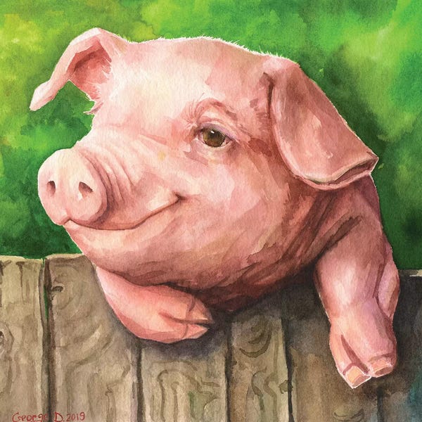 Pigs: Little Piggy With Background by George Dyachenko