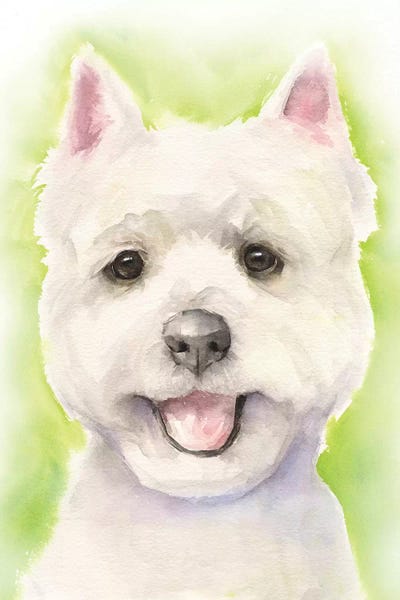 West Highland White Terriers: Westie Light Background by George Dyachenko
