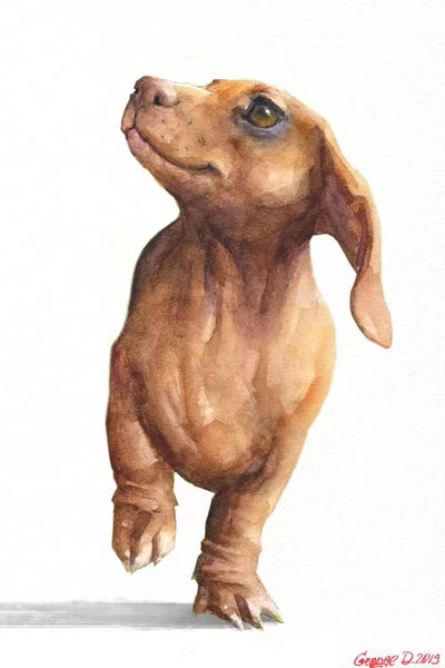 Red Dachshund White Background by George Dyachenko multi panel art