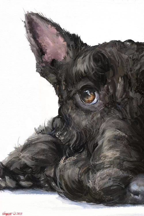 Scottish Terrier by George Dyachenko wall art