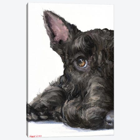 Scottish Terrier Canvas Print #GDY260} by George Dyachenko Canvas Art