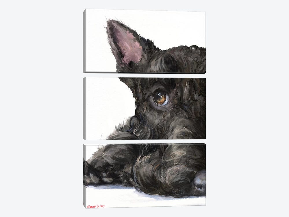 Scottish Terrier by George Dyachenko 3-piece Art Print