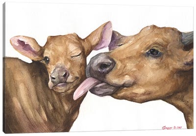 Mother's Love Canvas Art Print - Cow Art