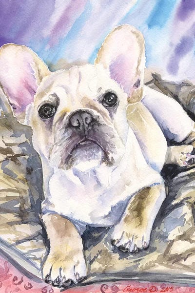Cream French Bulldog Puppy by George Dyachenko acrylic art print