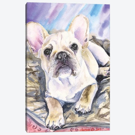 Cream French Bulldog Puppy Canvas Print #GDY266} by George Dyachenko Art Print
