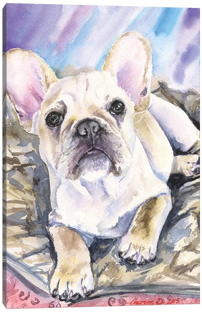 Cream French Bulldog Puppy Canvas Art Print - George Dyachenko