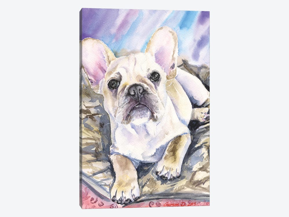 Cream French Bulldog Puppy by George Dyachenko 1-piece Art Print