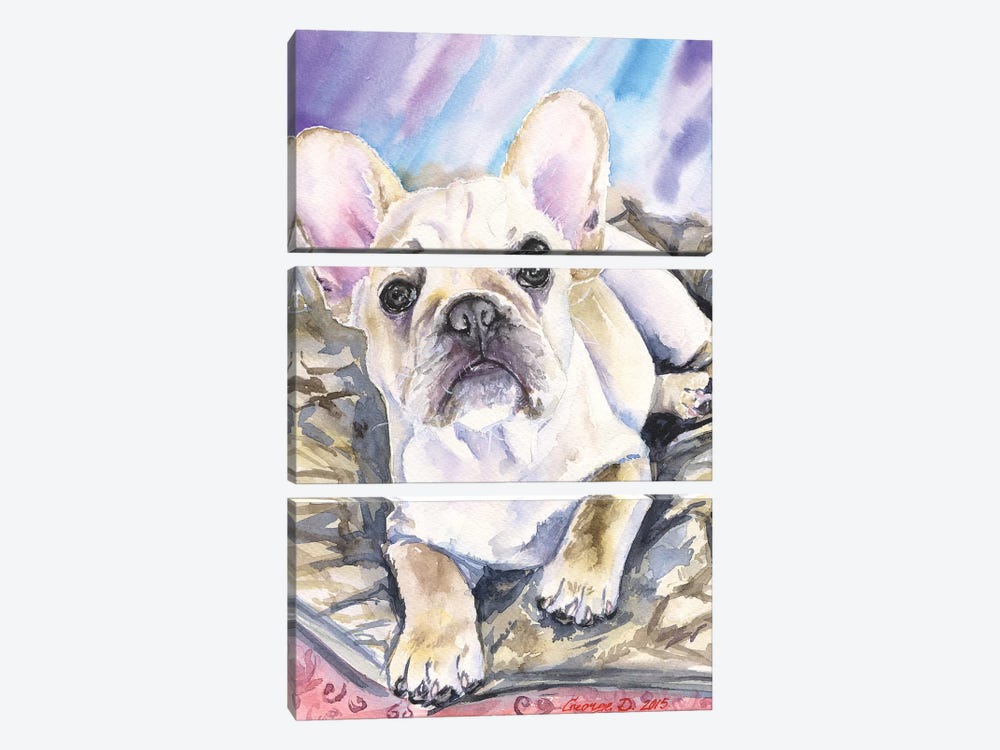 Cream French Bulldog Puppy by George Dyachenko 3-piece Canvas Art Print