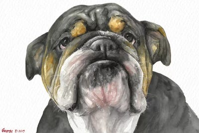 English Bulldog Look by George Dyachenko acrylic art print