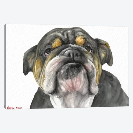 English Bulldog Look Canvas Print #GDY268} by George Dyachenko Canvas Wall Art