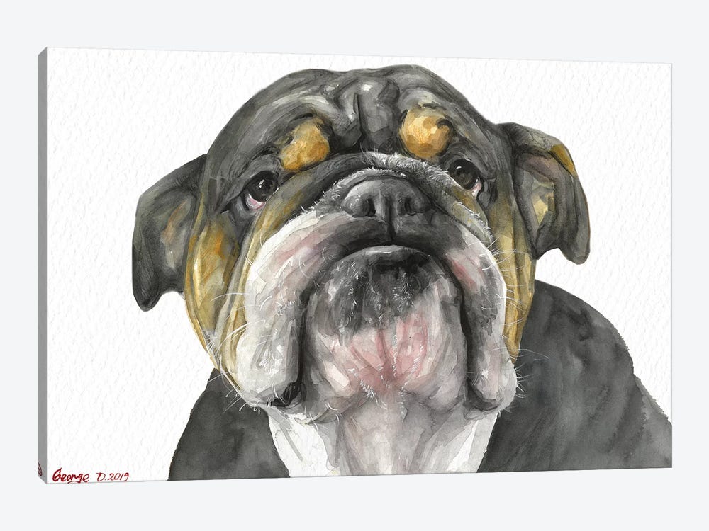 English Bulldog Look by George Dyachenko 1-piece Canvas Art Print
