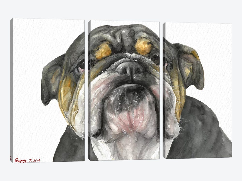 English Bulldog Look by George Dyachenko 3-piece Canvas Print