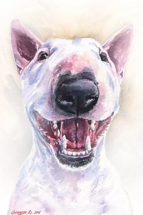 Happy Bull Terrier