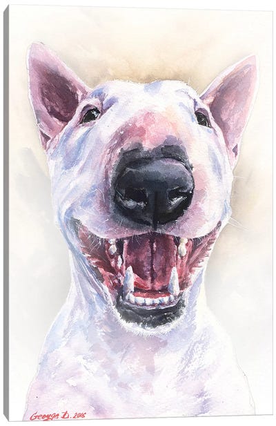 Happy Bull Terrier Canvas Art Print - Bull Terrier Art