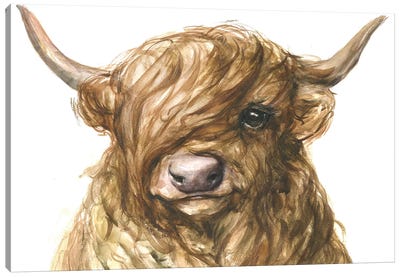Highland Cow Canvas Art Print - George Dyachenko