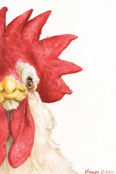 Chickens & Roosters: Chicken I by George Dyachenko