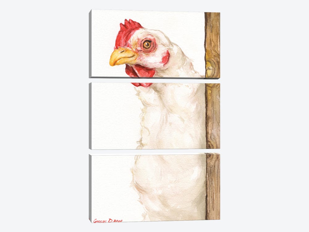 Chicken II by George Dyachenko 3-piece Canvas Artwork