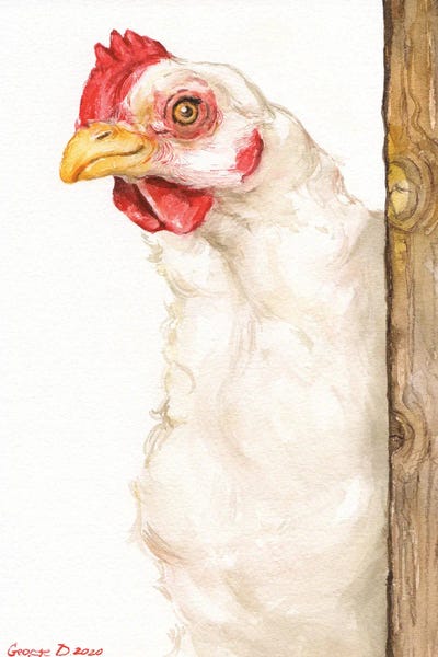 Chickens & Roosters: Chicken II by George Dyachenko