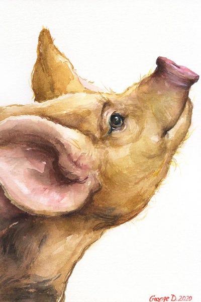 Pigs: Oxford Sandy Piglet by George Dyachenko